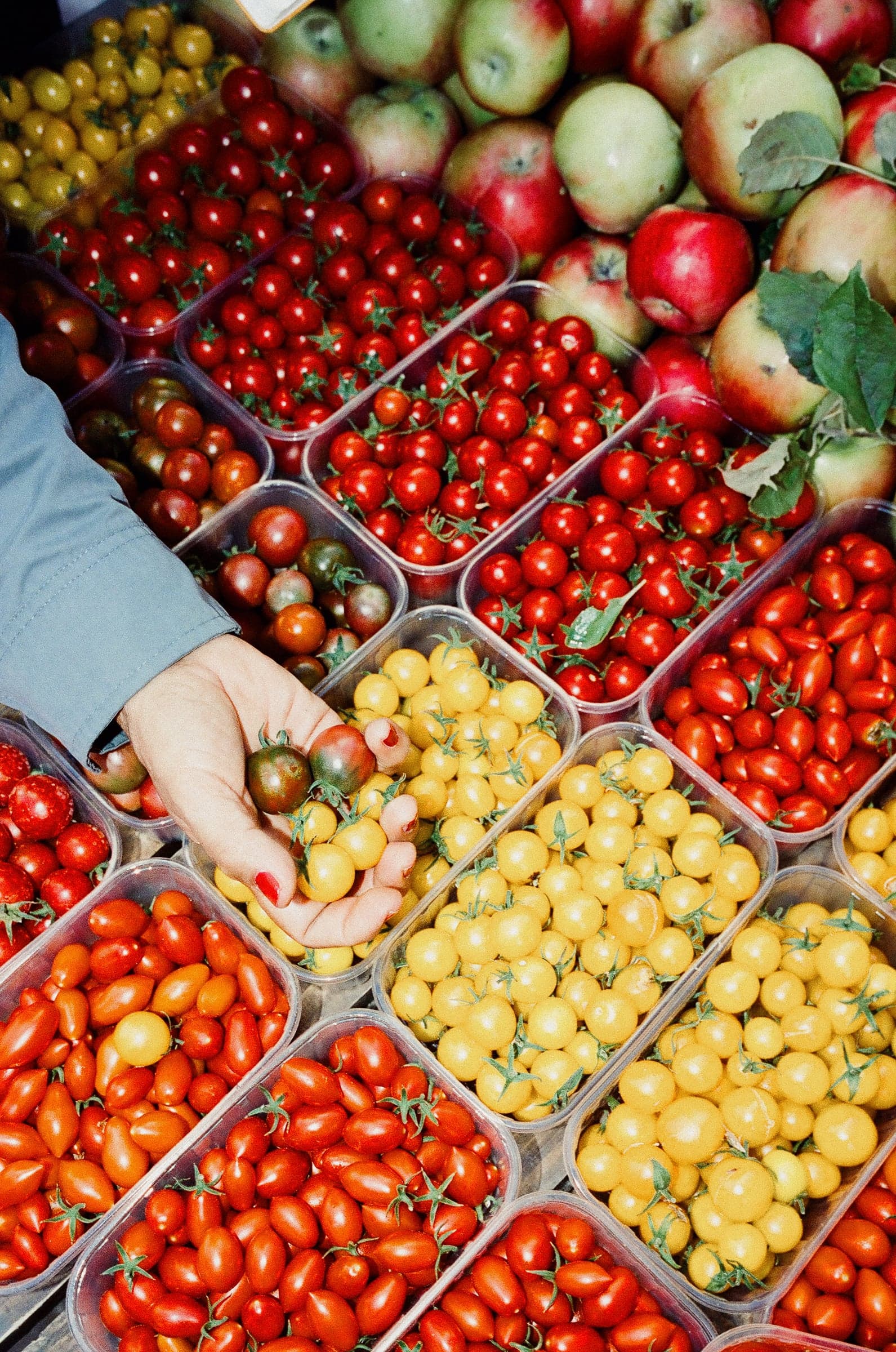Ruka bira cherry rajčice među kutijama rajčica, iza su jabuke